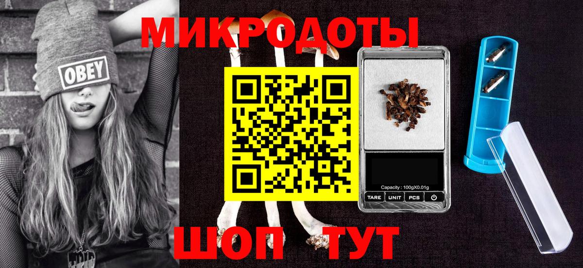 Белогорск  где найти   Вход с VPN  Галлюциногенные грибы Psilocybine cubensis 