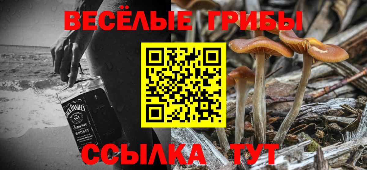 Галлюциногенные грибы GOLDEN TEACHER Белогорск